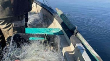 800 метра бракониерски мрежи извадиха служители на Агенцията по рибарство