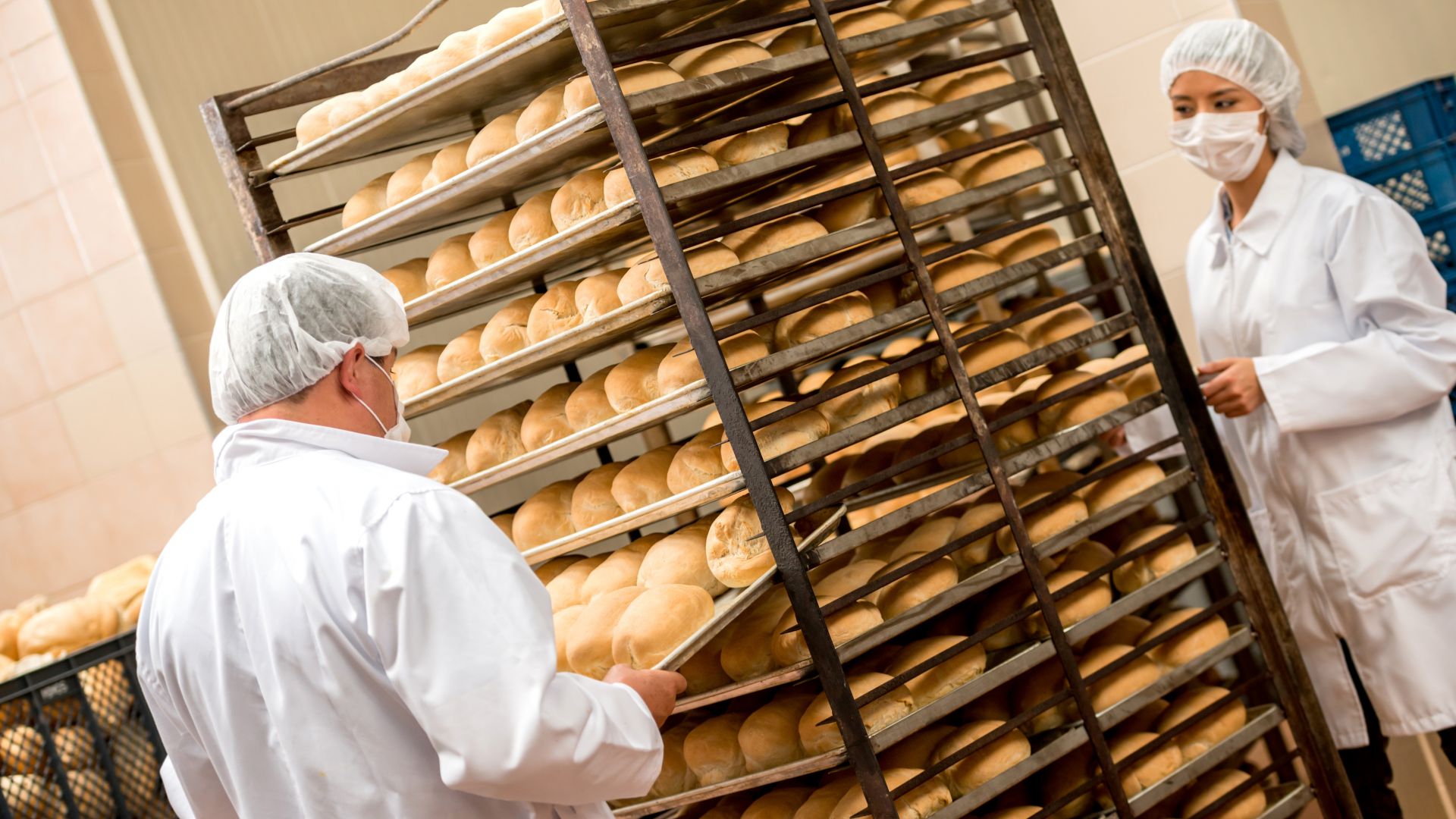 Хлябът е поевтинял с 1 до 11%, далеч по-малко от очакваното от потребителите