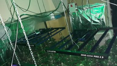 Разбита е оранжерия за марихуана във варненския квартал Аспарухово съобщиха
