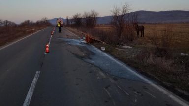 Камион блъсна каруца в Бургаско, има жертва и ранен (снимки)