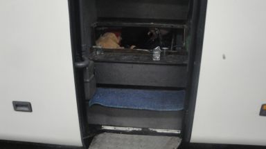 50 незаконни мигранти са задържани на българо турската граница укрити в