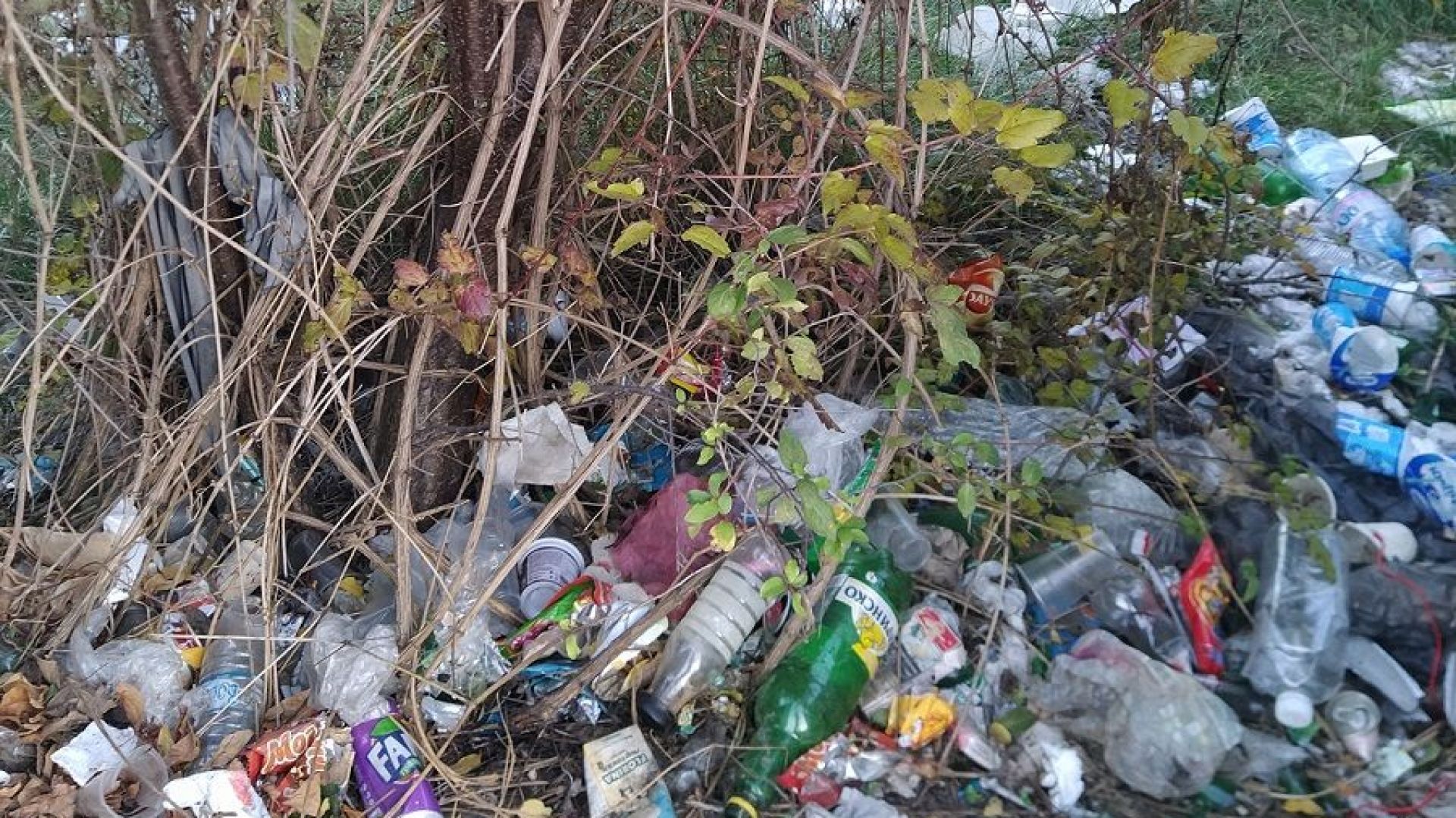 Нова цел за такса смет: До 2 години да плащаме за отпадъците, които изхвърляме