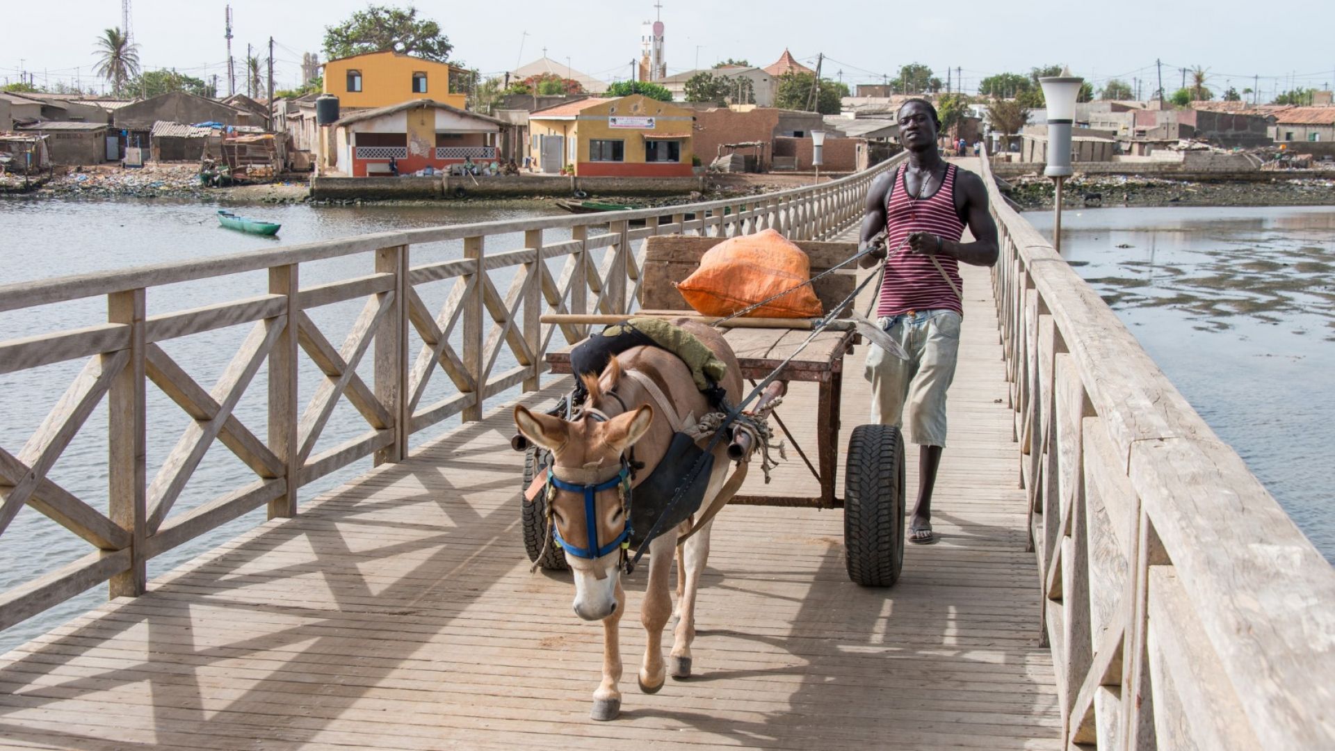 Фадиут: Сенегалският остров, изграден изцяло от мидени черупки