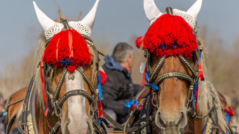 Конски вихър и древни ритуали на Тодоровден