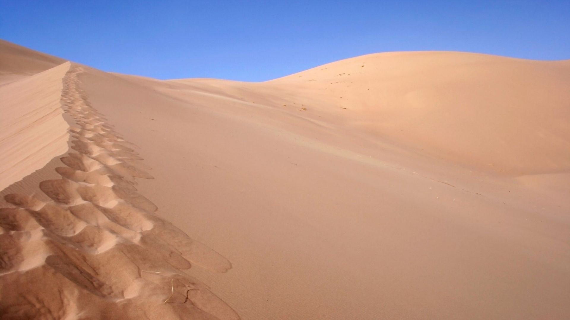 Хонгорин Елс: Пеещите дюни на Монголия