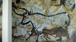 Деца ли са авторите на четвърт от праисторическите рисунки?