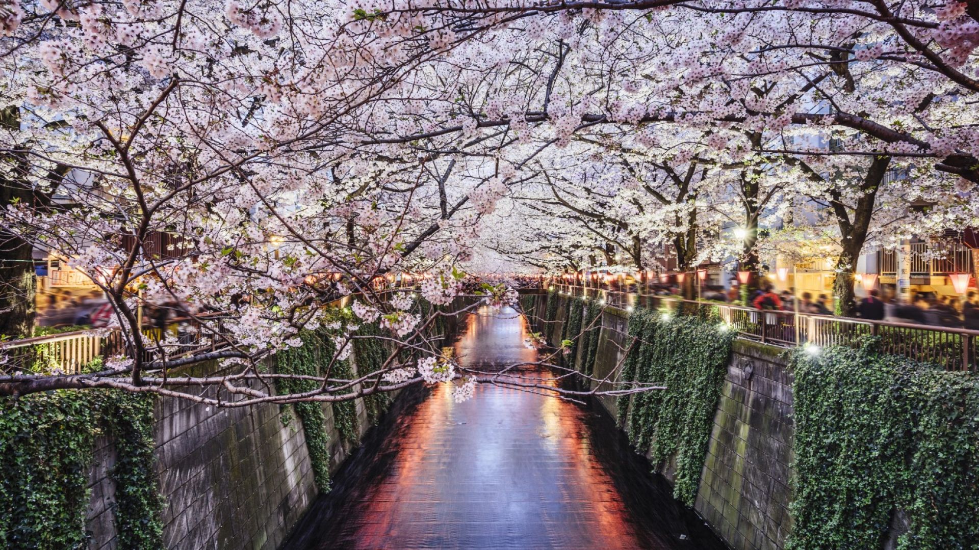 Япония отчита най-голям брой на туристите след пандемията