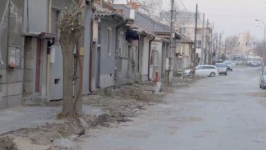 Всички дървета по централна улица в Ямбол са били изсечени