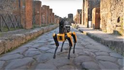 Куче робот пази руините на Помпей (снимки и видео)