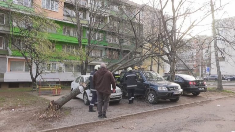 Ураганният вятър причини множество щети във Враца. Местният кризисен щаб