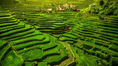 Филипините и техните оризови тераси на 2000 години (снимки)