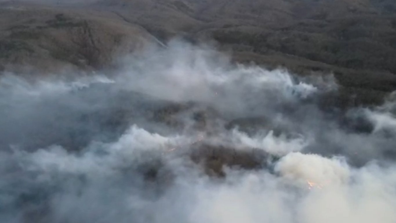 Пожар бушува в гората край Малко Търново (видео)