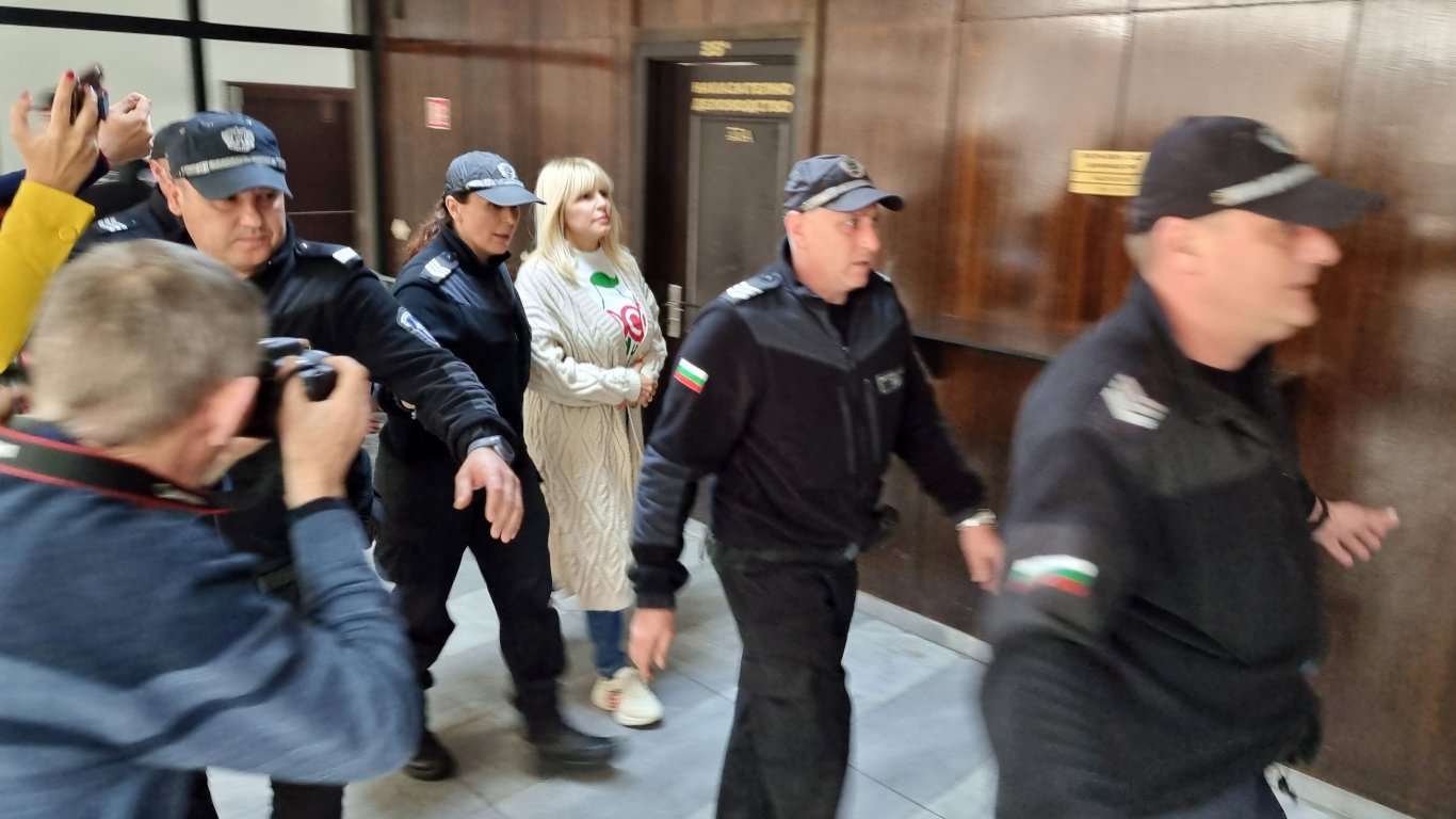 Оставиха в ареста бившата румънска министърка Елена Удря