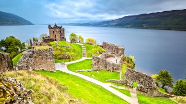 Шотландия се превръща в първата „отново дива“ страна