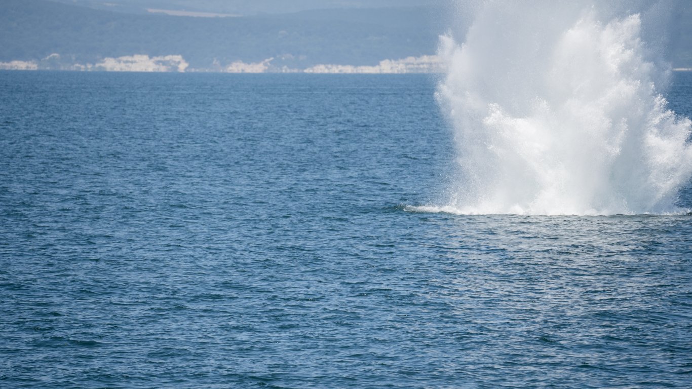 Мините в Черно море може да се задействат и при контакт с човек