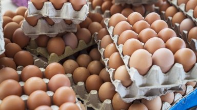 Яйцата с произход Украйна са безопасни Това съобщава от Българската