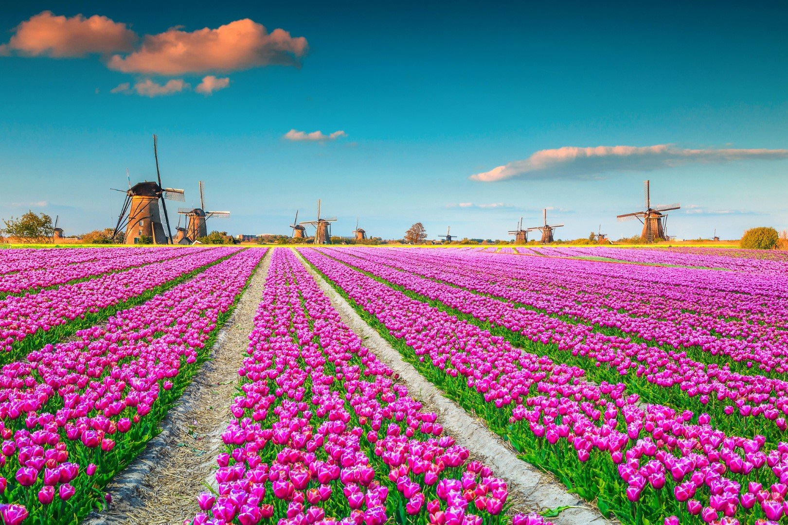 Мелниците в Киндердейк са едни от най-фотогеничните в Нидерландия