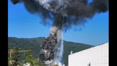 Десетки ранени при експлозия в химически завод в Словения (видео)