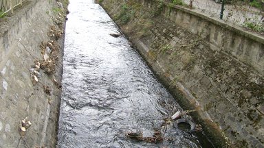 Шестокласничка се удави в Стара Загора при опит да извади обувката си от канал