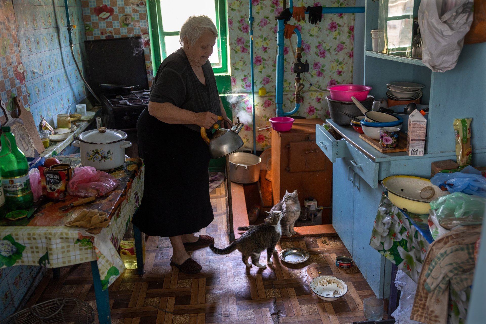 Aня на 71 години се грижи за осиротелите домашни любимци в украинско село