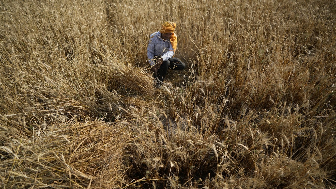 Стотици хиляди тонове пшеница блокирани на индийско пристанище