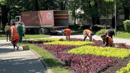 Цветни кошници и над 75 000 цветя ще красят Цар Симеоновата градина в Пловдив
