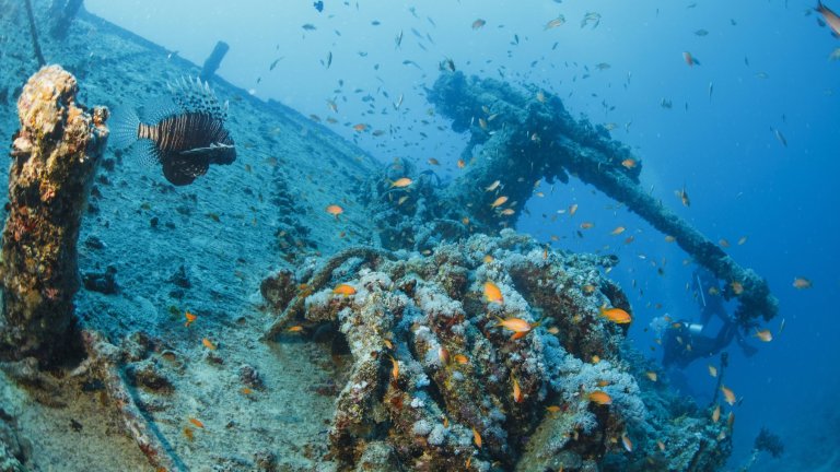 Колко корабокрушения крие Световният океан?