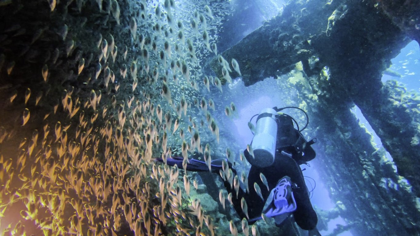 Заради високите температури:  Водолазният туризъм подрани в Кушадасъ