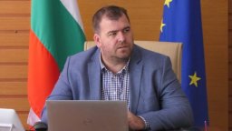 Земеделският министър Явор Гечев спира износа на дърва извън ЕС