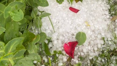 До края на месеца трябва да бъде завършена оградата на