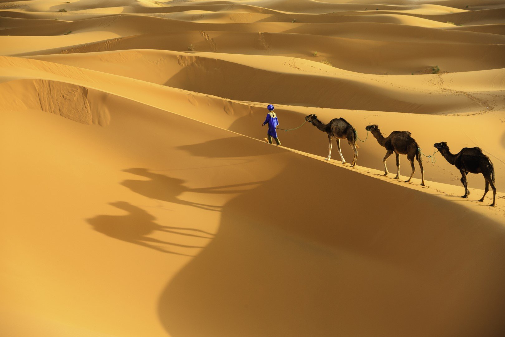 Сахара е най-голямата гореща пустиня в света