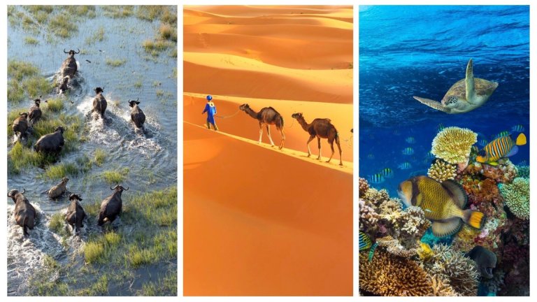 7 от най-изумителните природни чудеса на Африка (снимки)