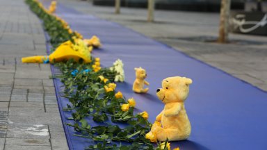 100 дни война в Украйна - стотици жълти цветя върху синьо платно в центъра на София (снимки)