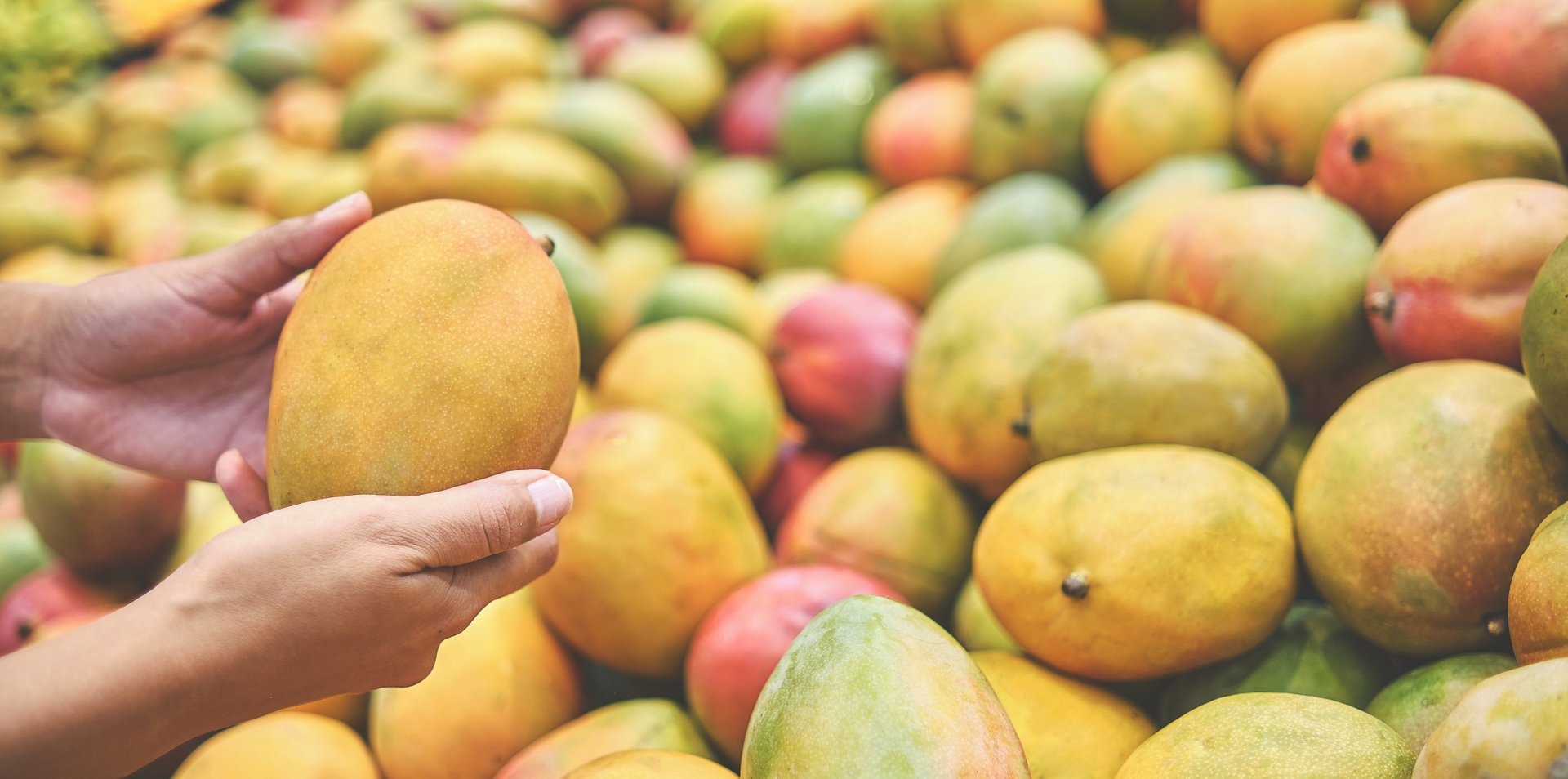 По-малко манго заради слаба реколта в Индия и Пакистан