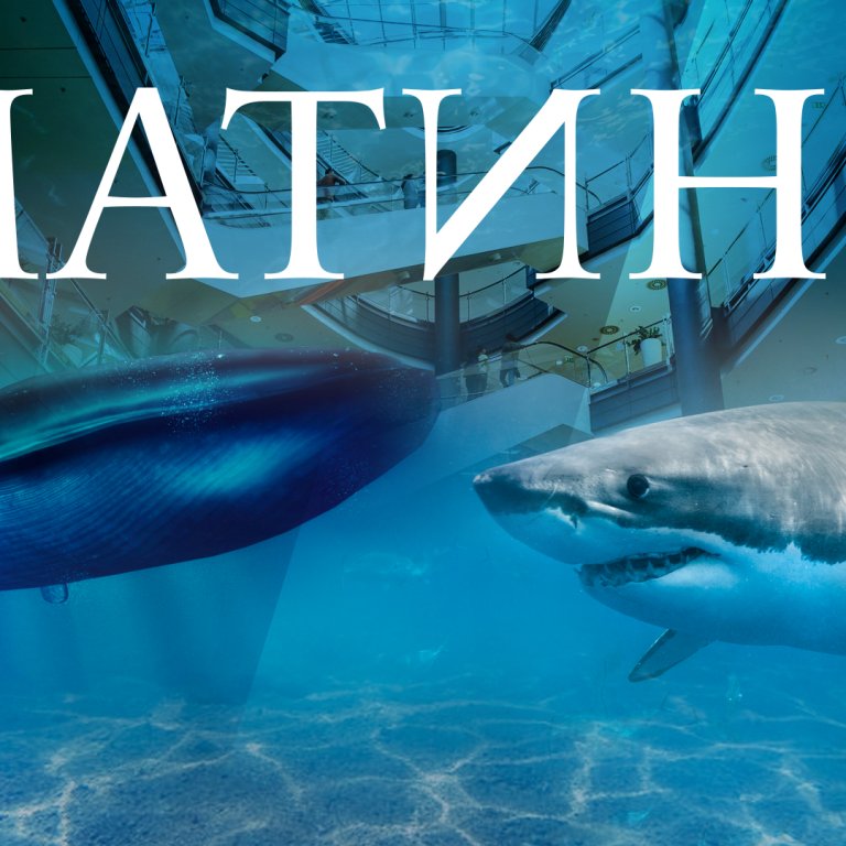 Къде в София можеш  да плуваш с делфини и да погледнеш тигрова акула право в очите