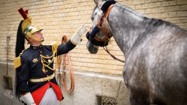 Макрон подари 7-годишния кон Фабюльо на Елизабет Втора за платинения юбилей