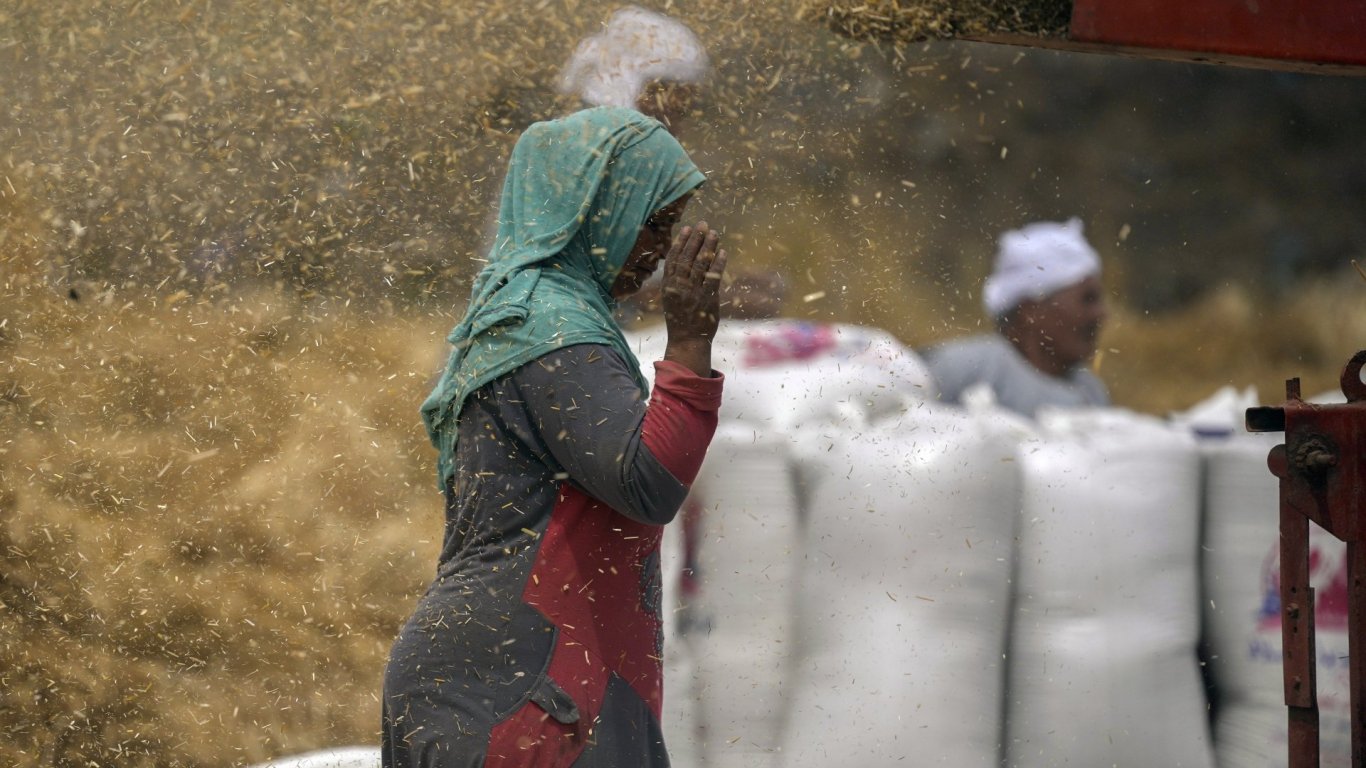 Индия обяви, че може да пусне 1,2 млн. тона пшеница, блокирани по пристанищата й