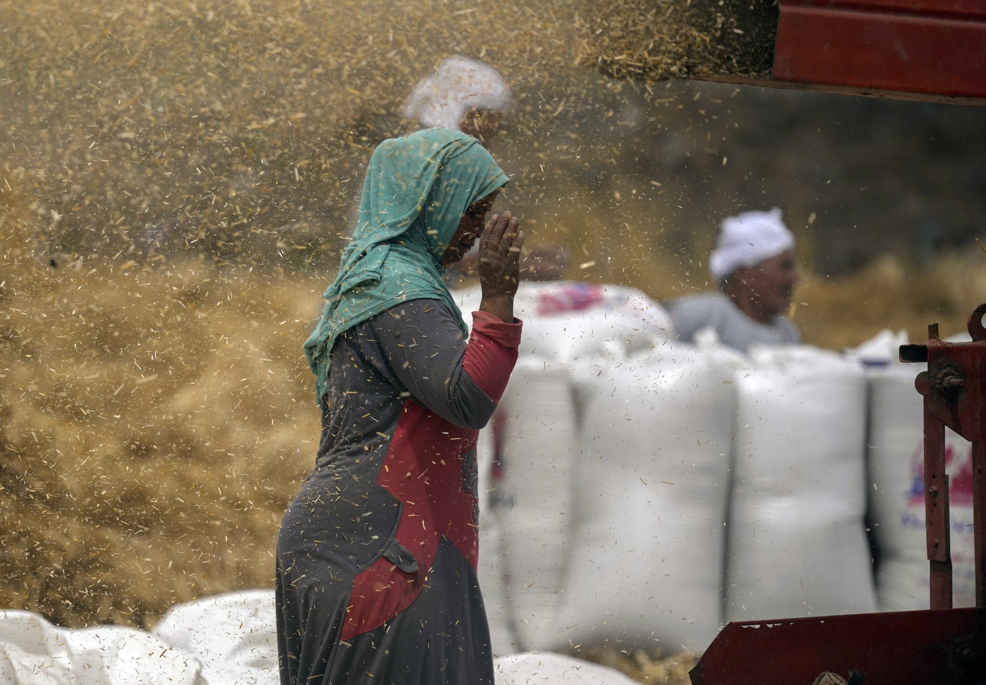 Край мелница за пшеница във ферма по делтата на Нил в провинция Ал-Шаркия, Египет, 11 май 2022 г.
