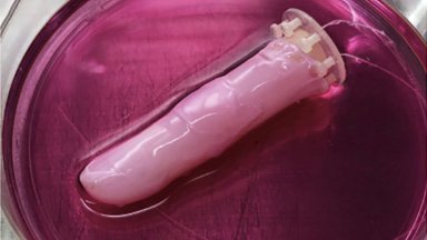 Френски учени работят по създаването на изкуствена кожа съобщава АФП