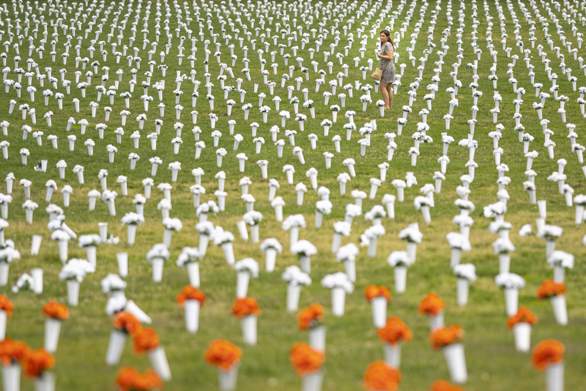 Поле от цветя, символизиращи смъртните случаи след употреба на оръжие 