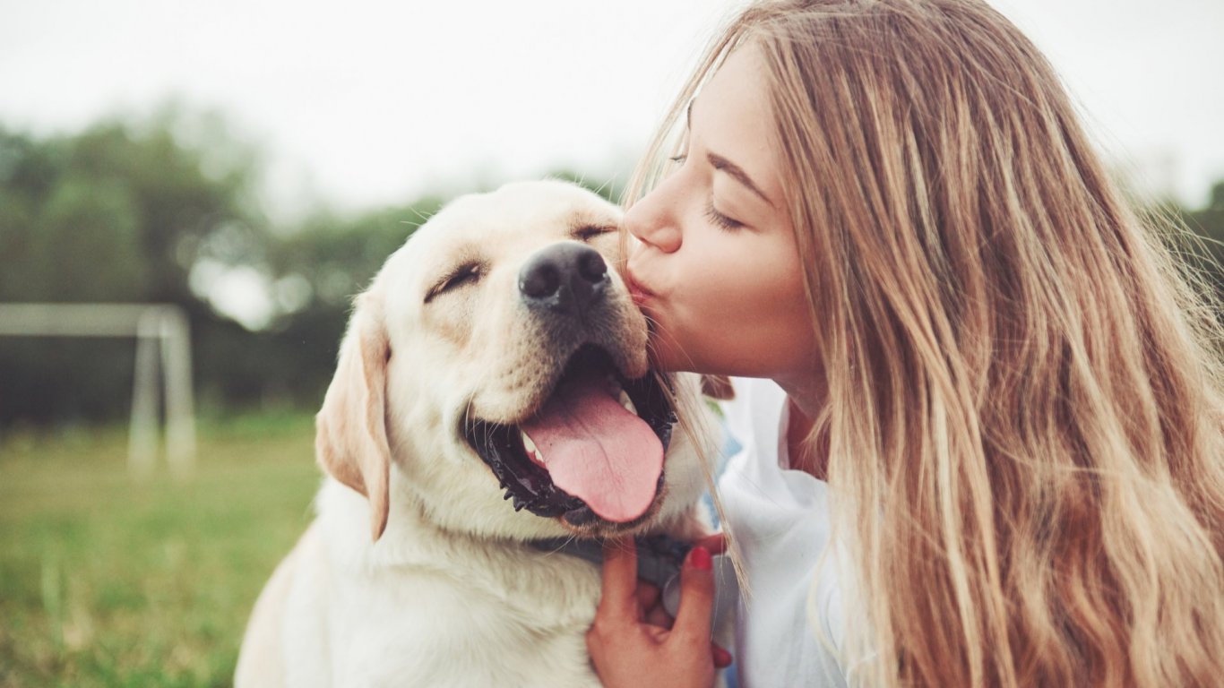 Кучетата са по-чувствителни, ако им говорят жени