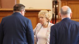 Зам.-председателят на ПГ на ИТН Виктория Василева обмисля да напусне парламента