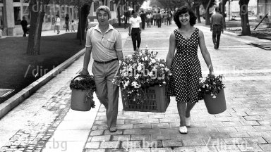 За една четвърт от българите 80 те години на миналия век