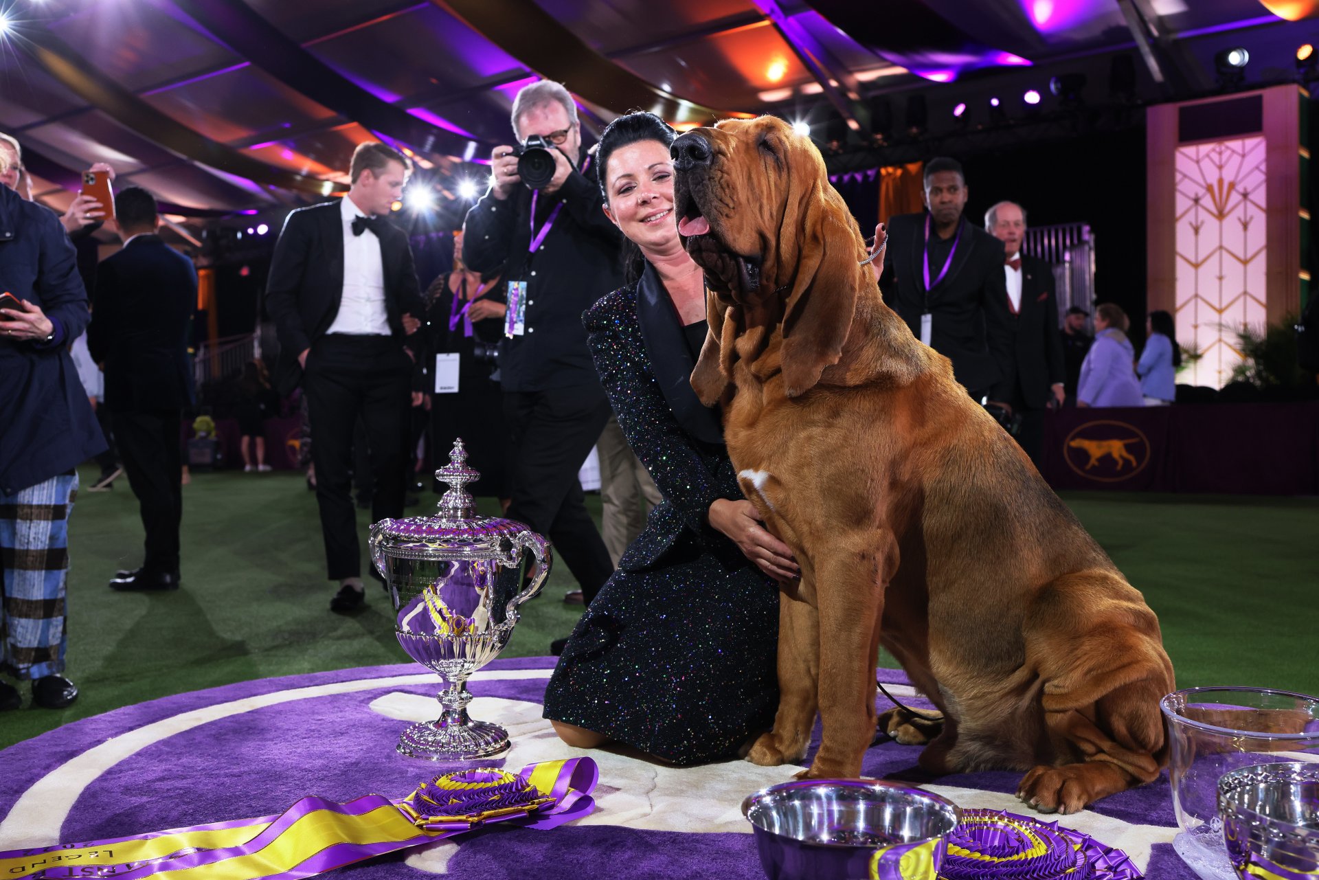Хедър Бюнер и Тръмпет Блъдхаунд седят в кръга на победителите, след като спечелиха Best in Show на годишната изложба за кучета на Westminster Kennel Club в Lyndhurst Estate на 22 юни 2022 г. в Таритаун, Ню Йорк.