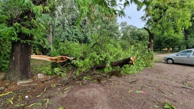 Бурните ветрове застигаха и областите Добрич Силистра и Русе съобщават