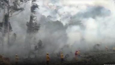Пожар гори край Мачу Пикчу (видео)