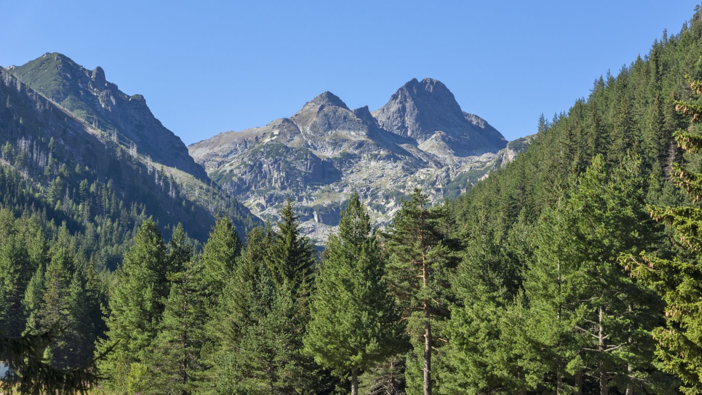 Курбан за здраве и благополучие на Мальовица