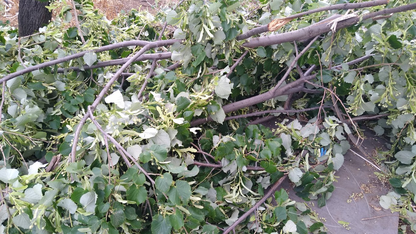 Бедствено положение в Дългопол: Ураган отнесе покриви и изкорени дървета