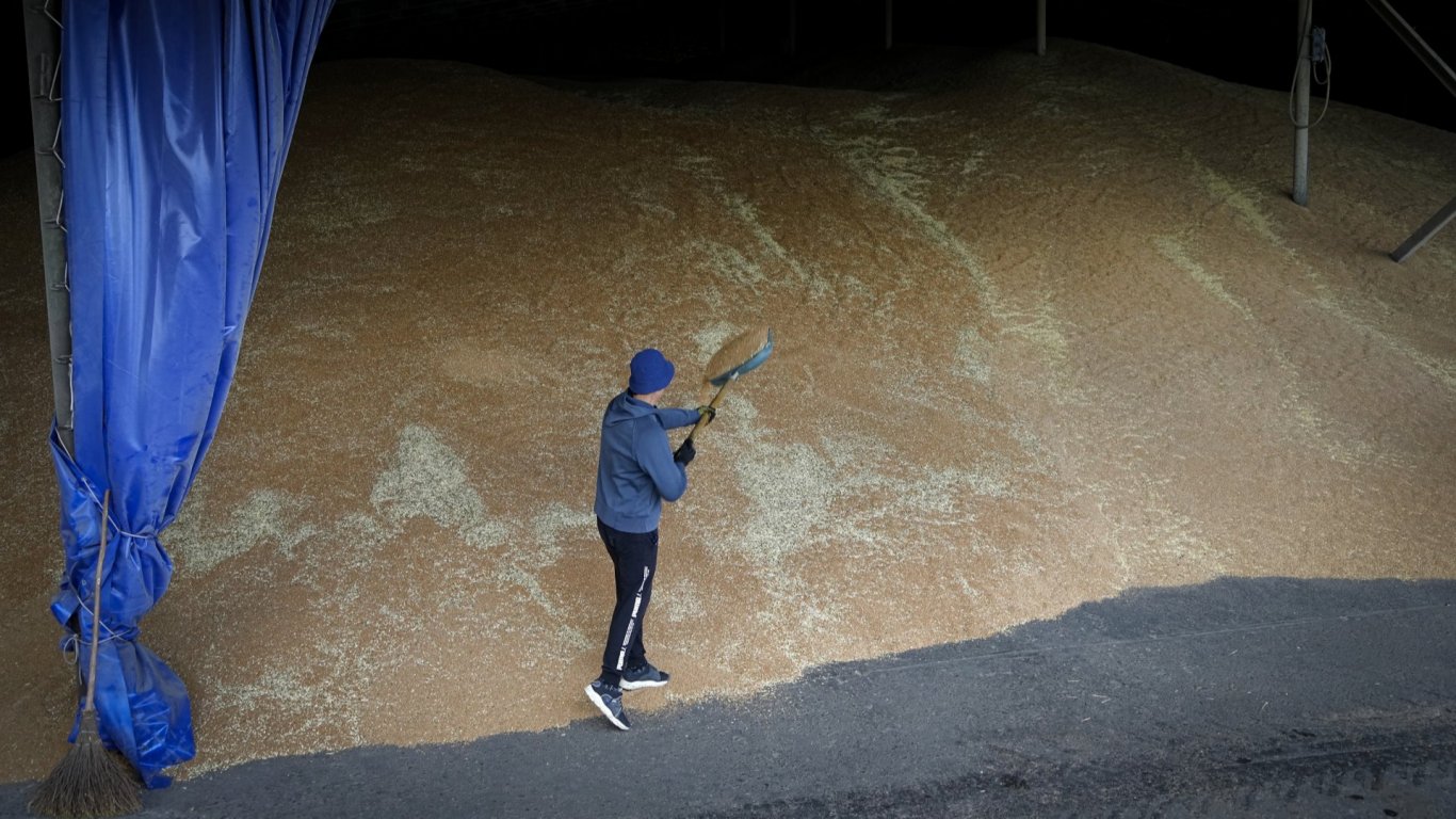 ФАО и Канада се включват в съхранението на украинско зърно