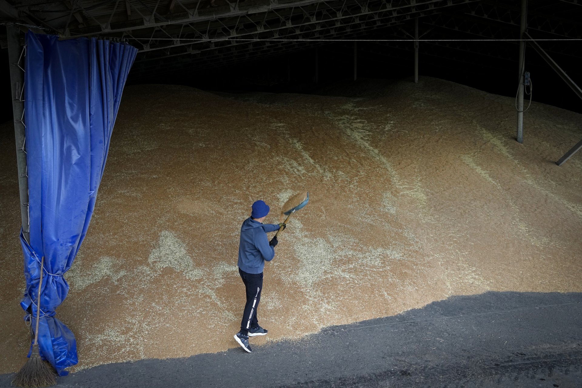 Фермер суши зърното в склад в Калмичанск, област Старобилск, на територия под контрола на правителството на Луганската народна република, Източна Украйна, вторник, 12 юли 2022 г.